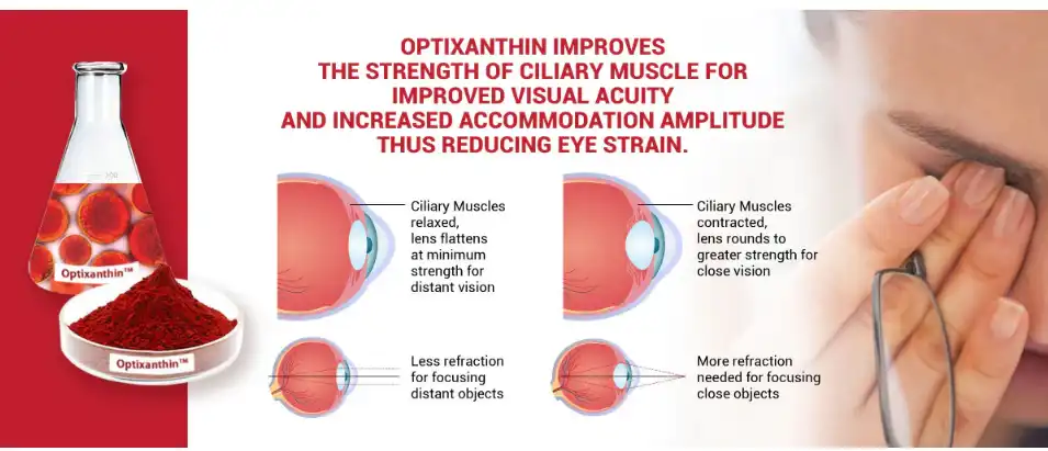 Astaxanthin powder protect vision Astaxanthin powder protect vision