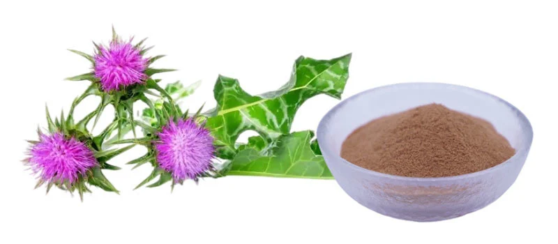 Silymarin Powder Function