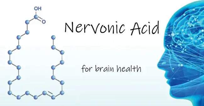 What is the antioxidant role of Nervonic Acid Powder in oxidative stress? What is the antioxidant role of Nervonic Acid Powder in oxidative stress?