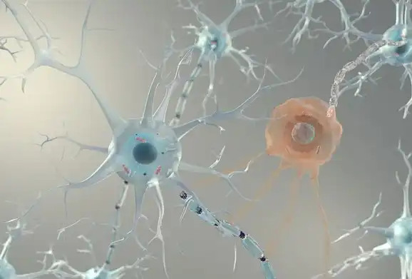 Nervonic Acid Powder Best Practices for Cognitive Health Supplement Manufacturing Nervonic Acid Powder Best Practices for Cognitive Health Supplement Manufacturing