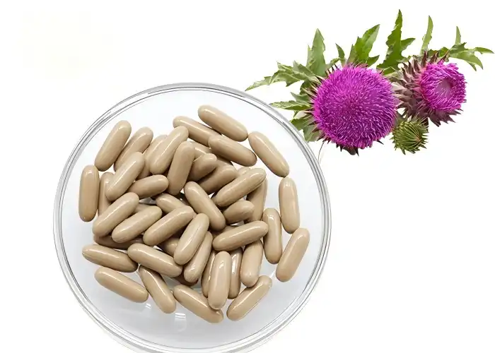 Silymarin Powder Uses in Functional Foods – What You Should Know？