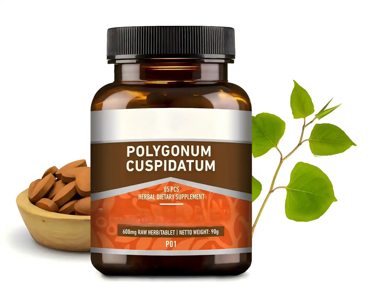 Uses of Polygonum Cuspidatum 98% Resveratrol Natural Powder in Supplements Uses of Polygonum Cuspidatum 98% Resveratrol Natural Powder in Supplements