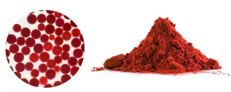 UAE Nutraceutical Firms: Ensuring Safe Logistics for Astaxanthin Powder Imports UAE Nutraceutical Firms: Ensuring Safe Logistics for Astaxanthin Powder Imports