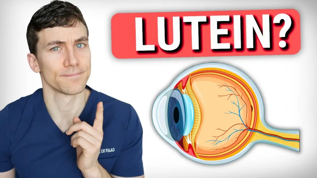 Understanding Lutein Powder’s Role in Macular and Retinal Health Understanding Lutein Powder’s Role in Macular and Retinal Health