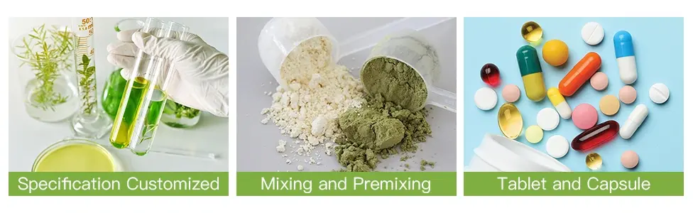 Silicified Microcrystalline Cellulose Powder OEM & ODM Silicified Microcrystalline Cellulose Powder OEM & ODM