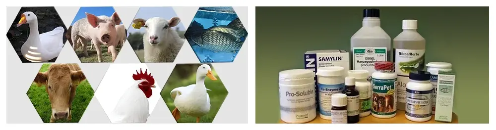 Palmitoylethanolamide Bulk Powder Function & Application Palmitoylethanolamide Bulk Powder Function & Application