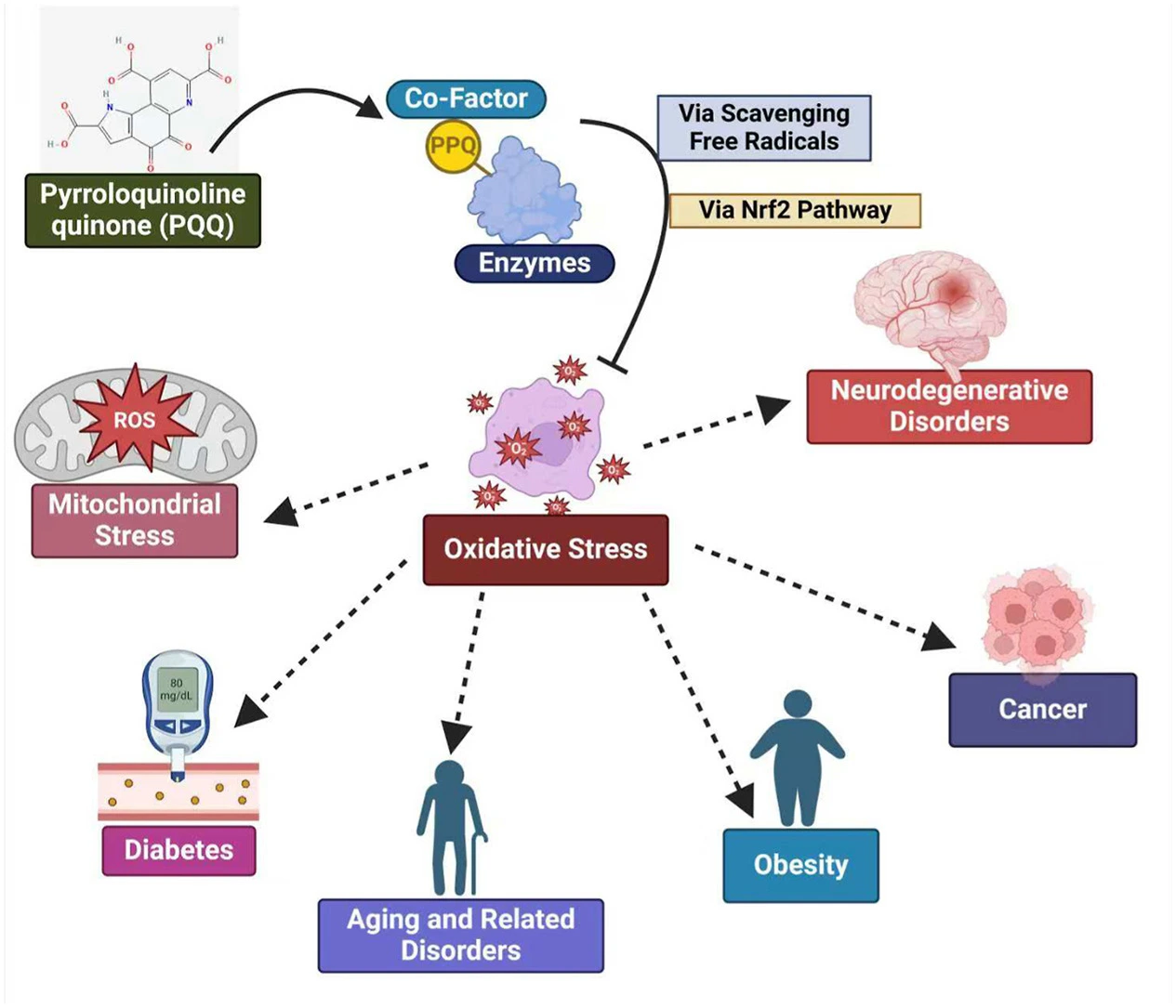 PQQ Bulk Powder Product Description PQQ Bulk Powder Product Description