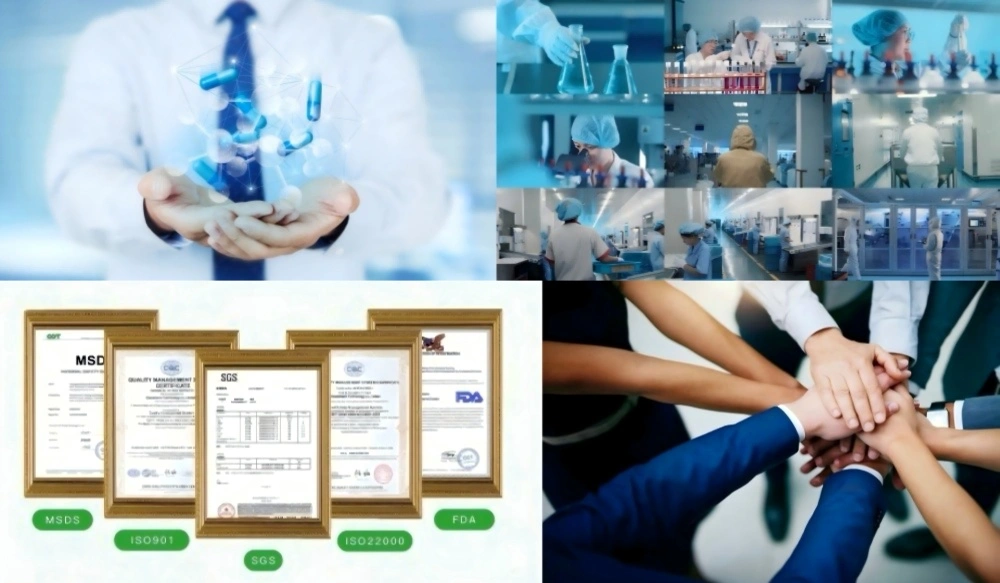 Citicoline Sodium Salt Powder Factory