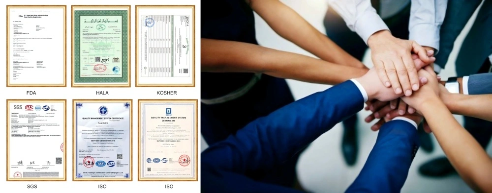 Dihydromyricetin Powder Manufacturer Dihydromyricetin Powder Manufacturer