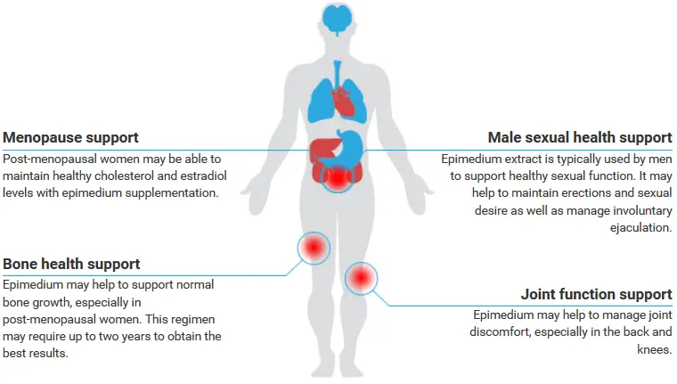 Epimedium Extract Powder Product Description Epimedium Extract Powder Product Description