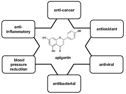 Apigenin Bulk Powder Product Description Apigenin Bulk Powder Product Description