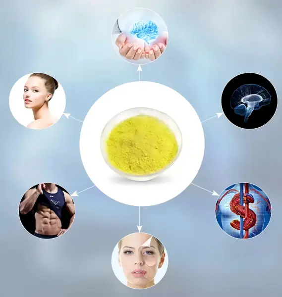 Fisetin Extract Powder: Fisetin Extract Powder: