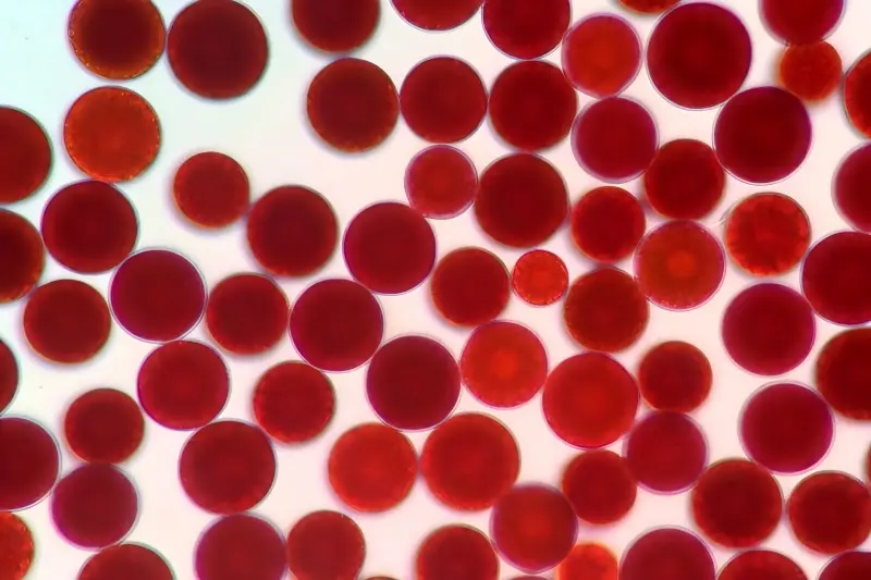 Haematococcus Pluvialis Oil Product Description Haematococcus Pluvialis Oil Product Description