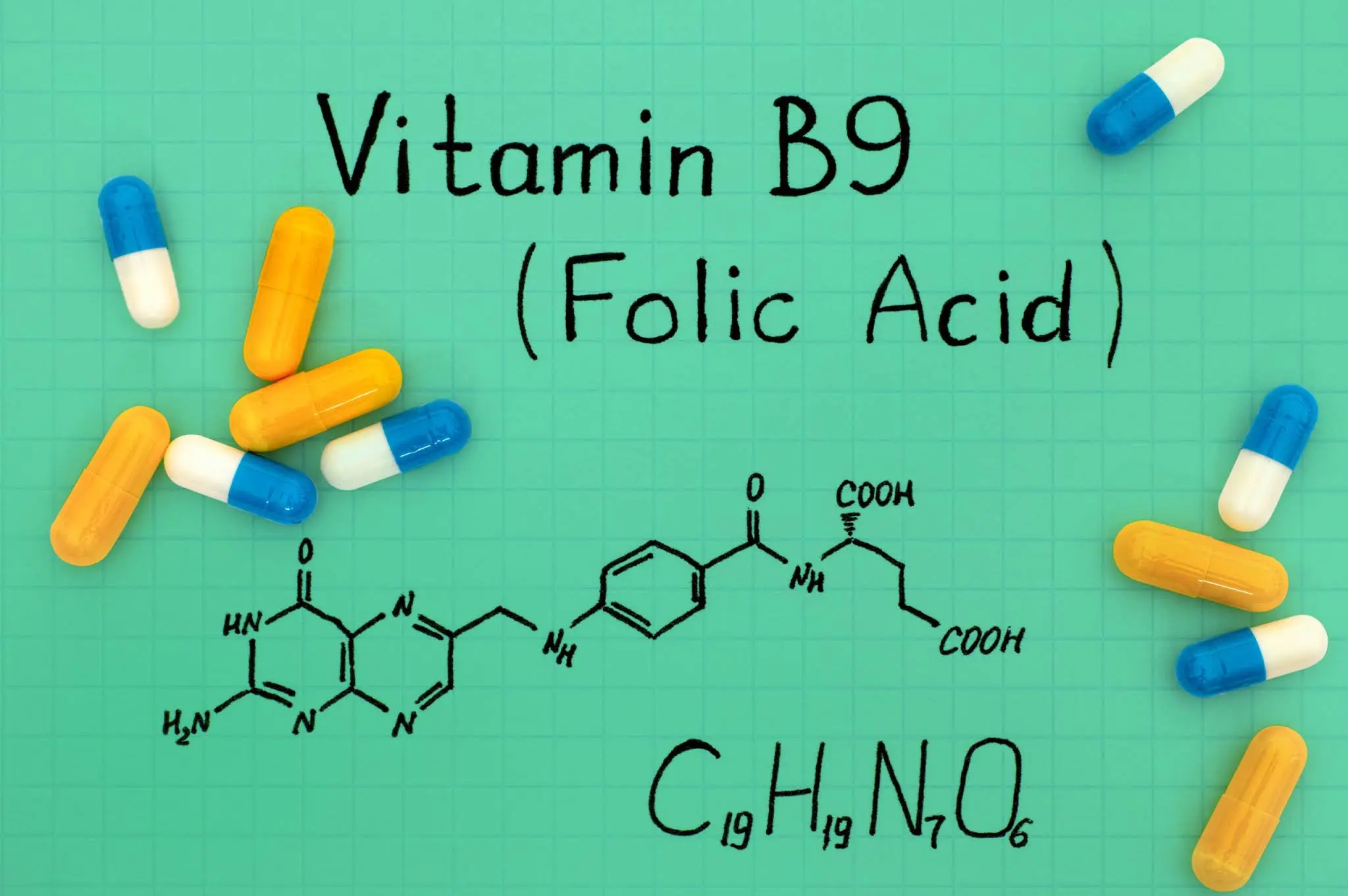 Folic Acid Powder Folic Acid Powder