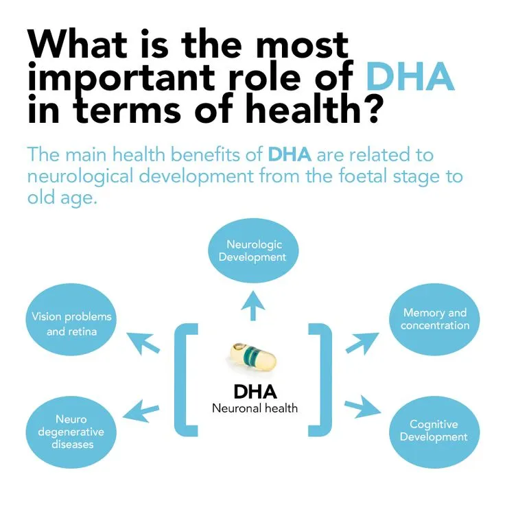 Yellow DHA Oil Product Introduction