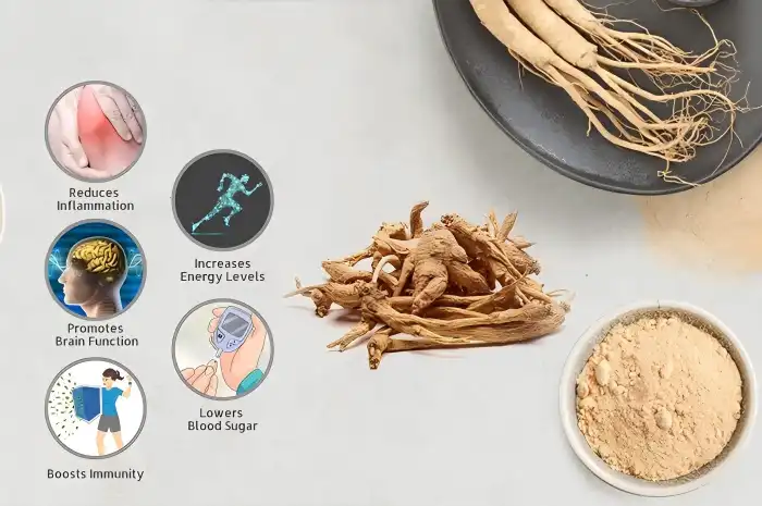 What Is Ginseng Root Extract Powder? A Buyer’s Guide What Is Ginseng Root Extract Powder? A Buyer’s Guide