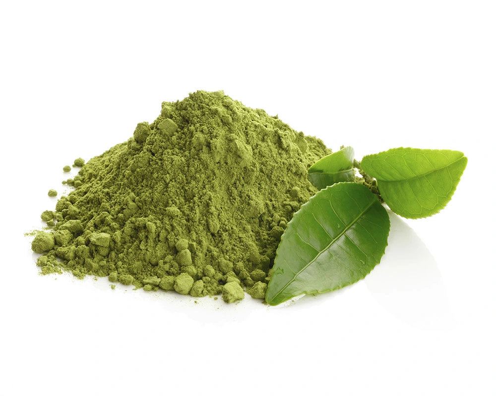 Green Tea Leaf Extract Powder Product Description