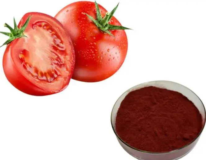 Tomato Extract Lycopene Powder Product Description Tomato Extract Lycopene Powder Product Description