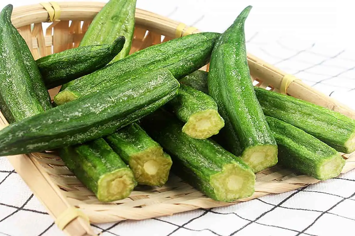 Freeze Dried Okra is a snack or ingredient made through freeze-drying technology, and it is popular for its crispy texture and high retention of nutrients.