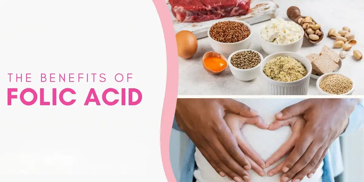 Folic Acid Powder – Essential for Homocysteine Balance Folic Acid Powder – Essential for Homocysteine Balance