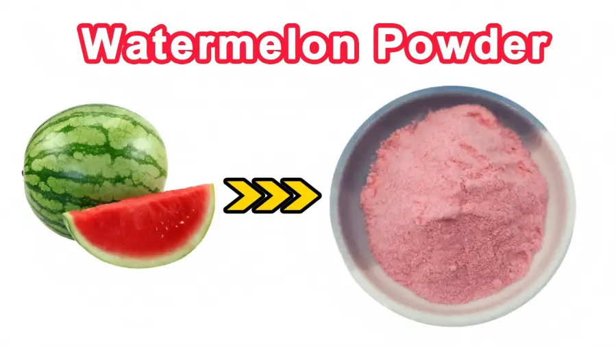 Frozen-Dry Watermelon Juice Instant Drink Powder