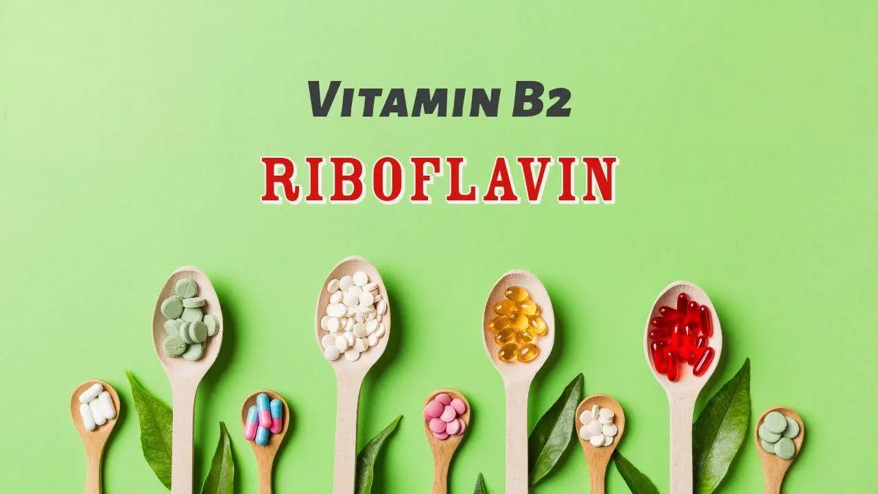 Riboflavin Powder Product Description Riboflavin Powder Product Description