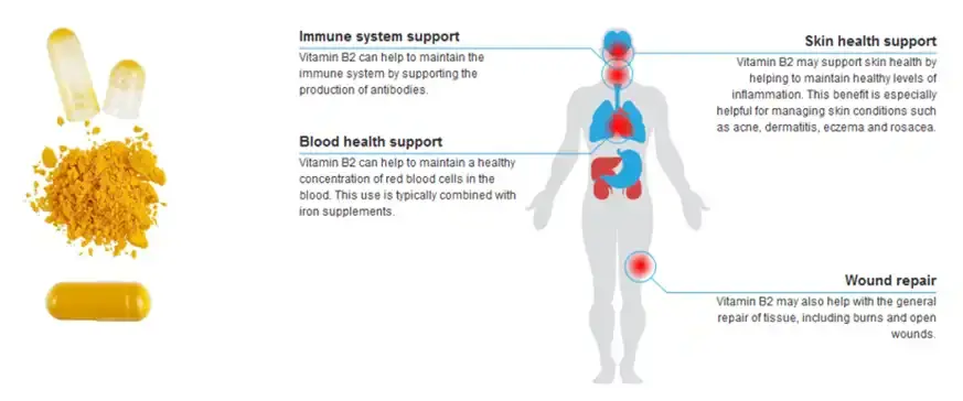 Riboflavin Powder Function & Application Riboflavin Powder Function & Application