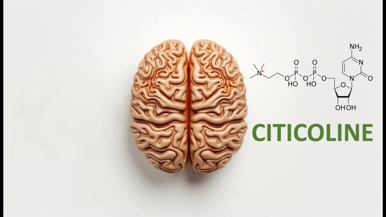 Is Citicoline Powder Better Than Choline Bitartrate? Is Citicoline Powder Better Than Choline Bitartrate?
