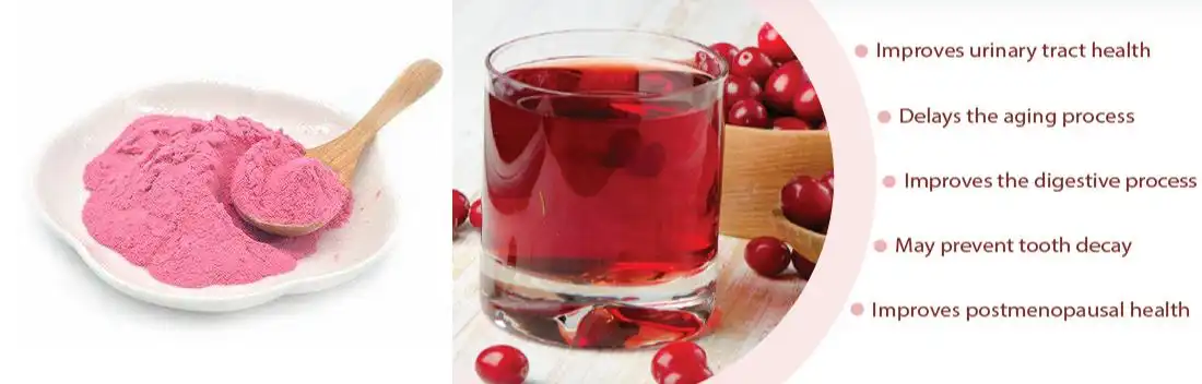 Cranberry Fruit Extract Powder for Urinary Tract Health Support