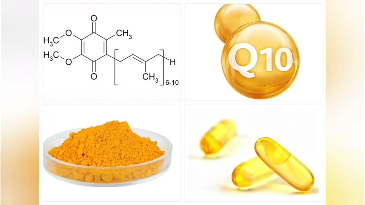 Coenzyme Q10 Powder Bulk Description