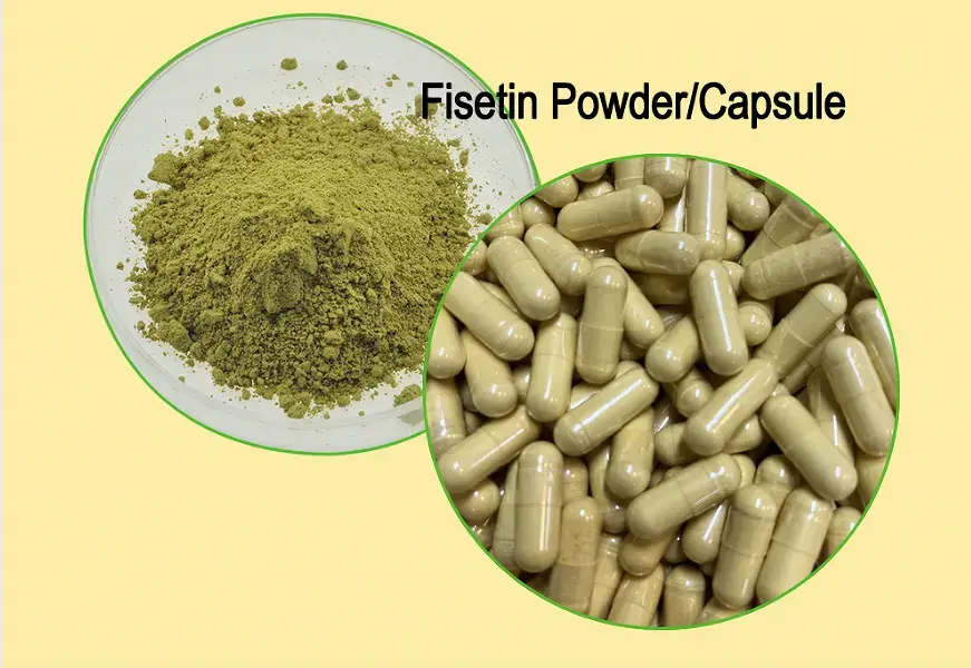Fisetin Powder Bulk Uses in Anti-Inflammatory Formulations Fisetin Powder Bulk Uses in Anti-Inflammatory Formulations
