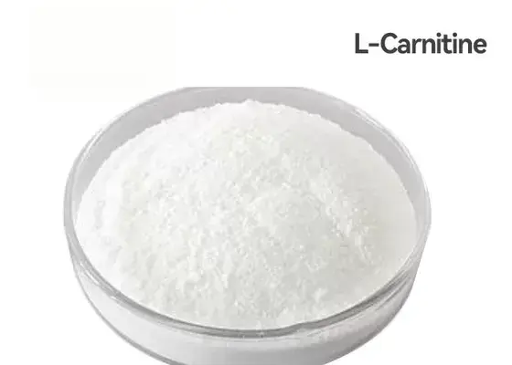 L-Carnitine Powder Product Description