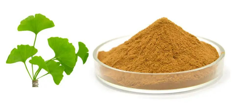 Ginkgo Biloba Extract Powder Product Description Ginkgo Biloba Extract Powder Product Description