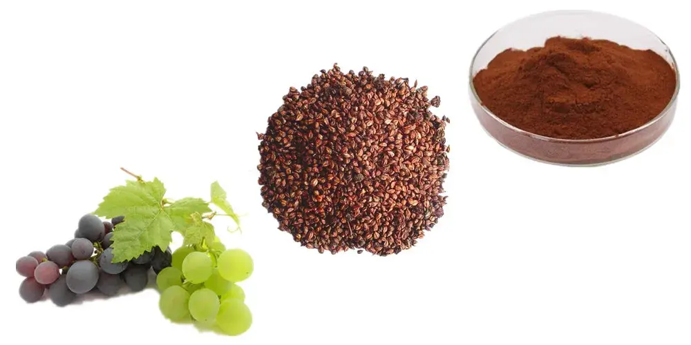 Grape Seed Extract Powder Product Description