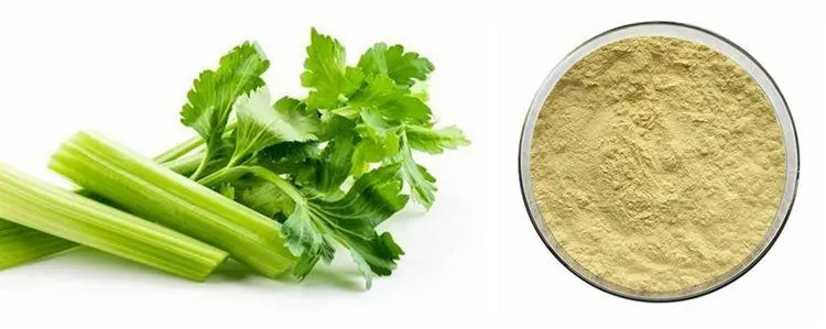 What Are the Key Benefits of Apigenin Bulk Powder?