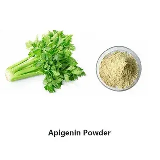 Apigenin Bulk Powder for Antioxidant & Anti-Inflammatory Support Apigenin Bulk Powder for Antioxidant & Anti-Inflammatory Support