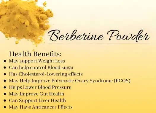 Can Berberine Hydrochloride Reduce Oxidative Stress Markers? Can Berberine Hydrochloride Reduce Oxidative Stress Markers?