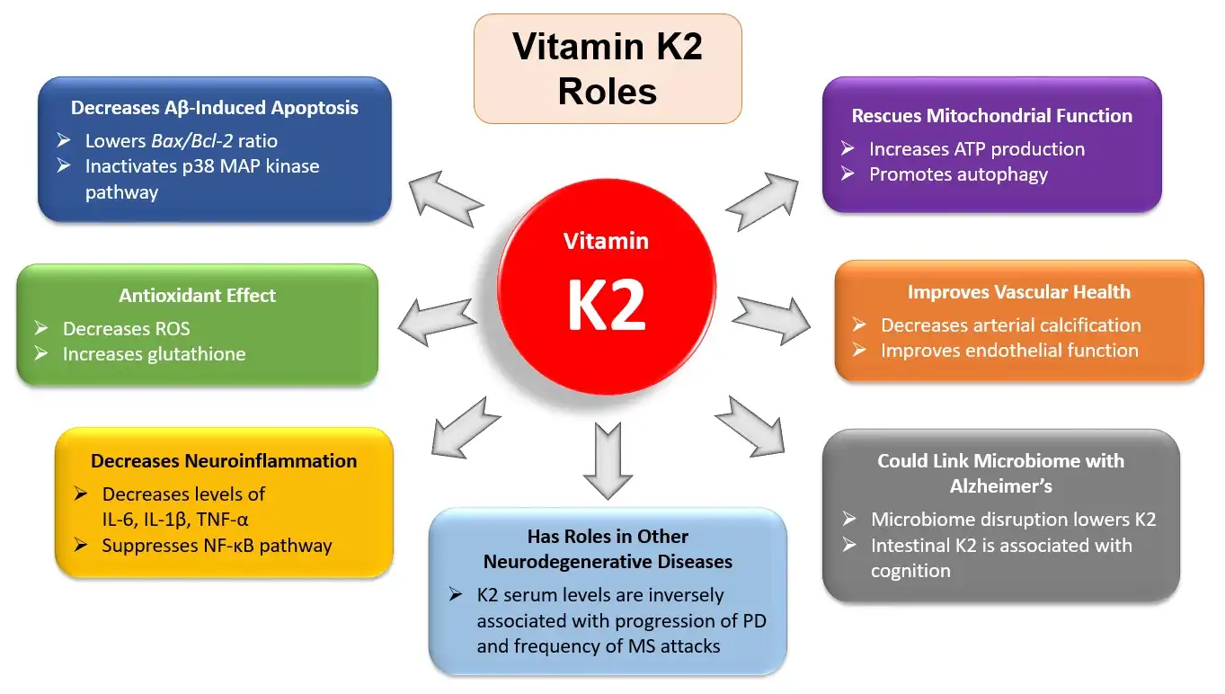 Bulk Vitamin K2 Powder Supplier for Global Markets Bulk Vitamin K2 Powder Supplier for Global Markets