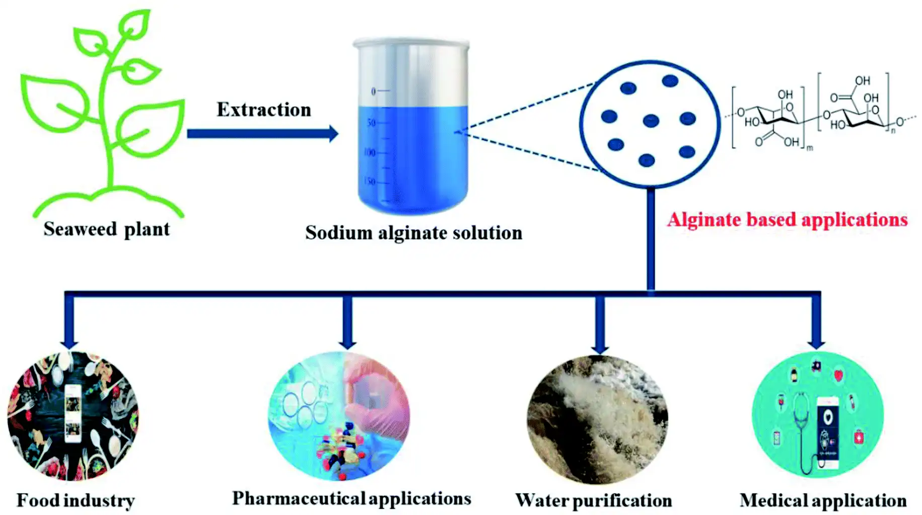 Premium Sodium Alginate Bulk Supply for Industrial Applications