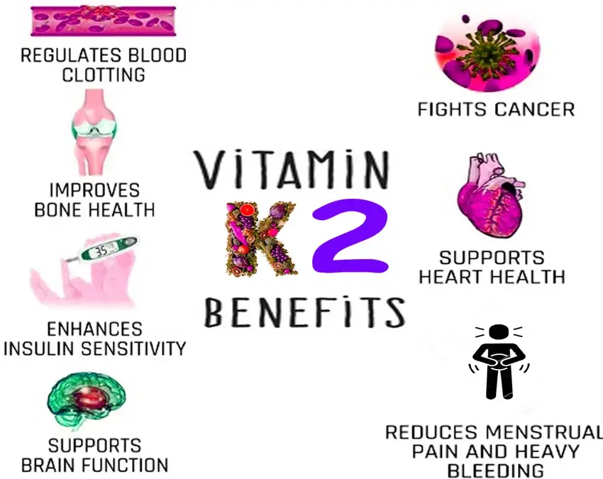 Why Choose Vitamin K2 Powder for Bone Support? Why Choose Vitamin K2 Powder for Bone Support?