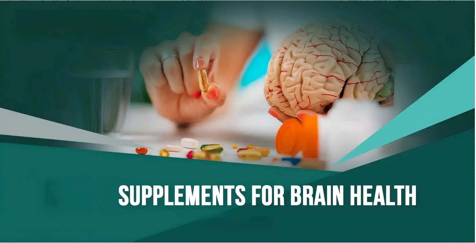 Can Uridine Powder Enhance Long-Term Brain Performance? Can Uridine Powder Enhance Long-Term Brain Performance?