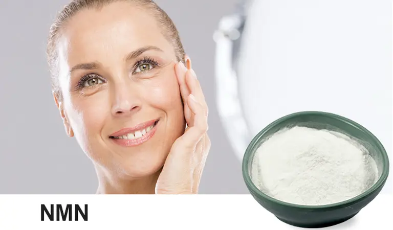 Nicotinamide Powder Product Description Nicotinamide Powder Product Description