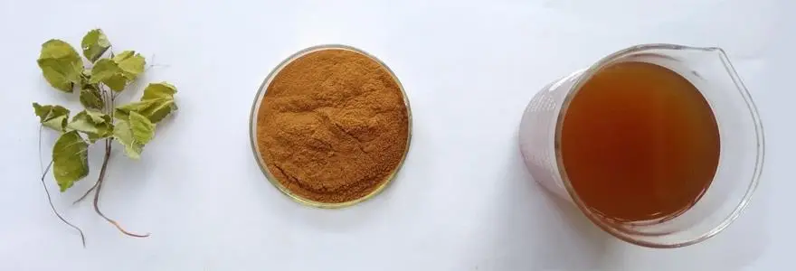 Epimedium Extract Powder Dosage & Safety Guide