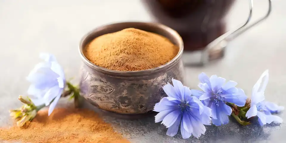 Looking for Chicory Extract Powder Bulk Manufacturer?