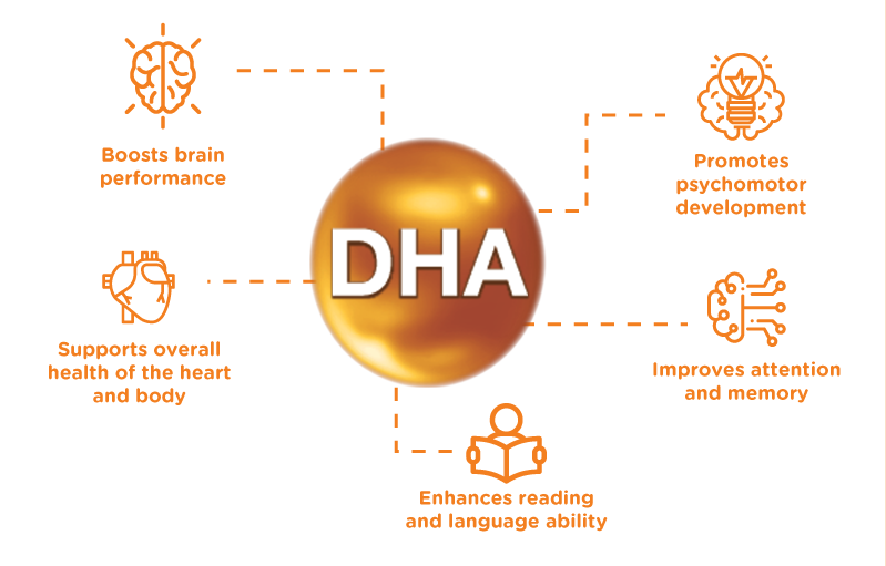 Is DHA Powder Effective for Memory and Focus? Is DHA Powder Effective for Memory and Focus?