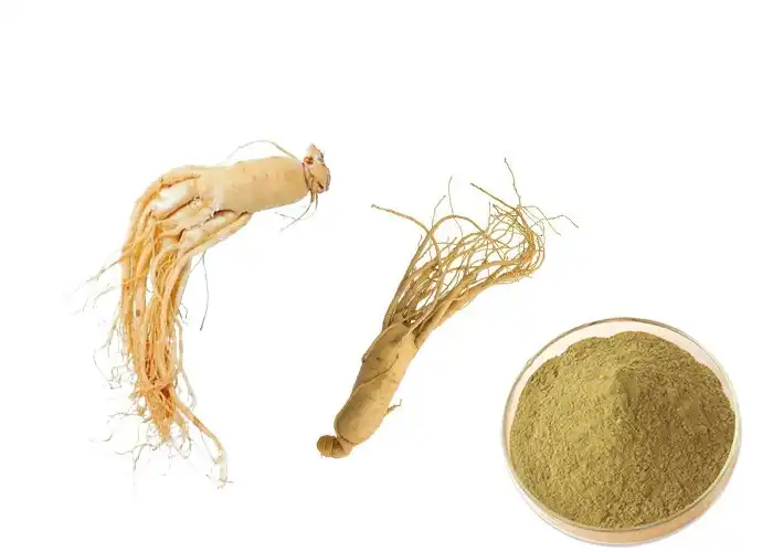 Is Your Ginseng Root Extract Powder Ready for Bulk Orders? Is Your Ginseng Root Extract Powder Ready for Bulk Orders?