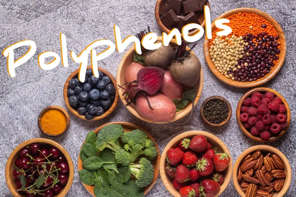 Polyphenol Powder in Cosmetics: What You Should Know?