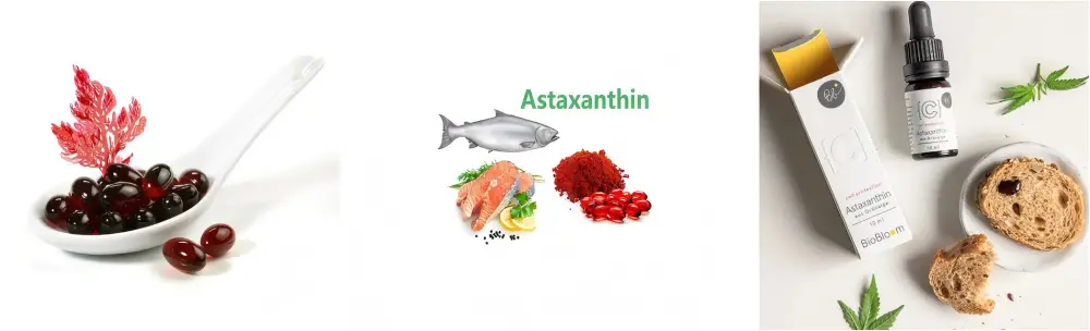 Product Description-Haematococcus Pluvialis Oil