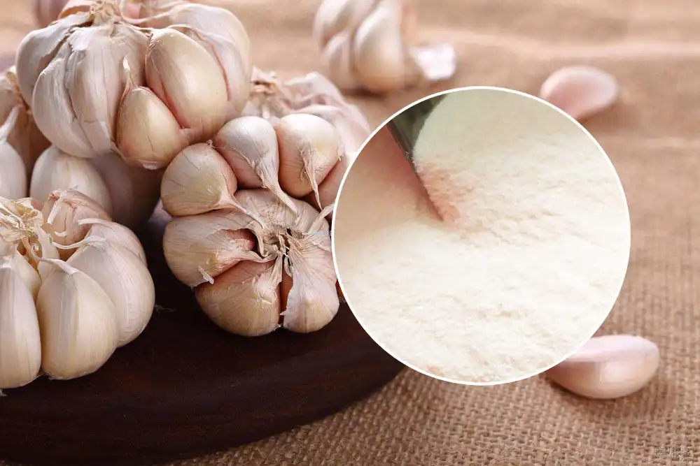Can Allicin Powder Enhance Immune Supplement Lines? Can Allicin Powder Enhance Immune Supplement Lines?