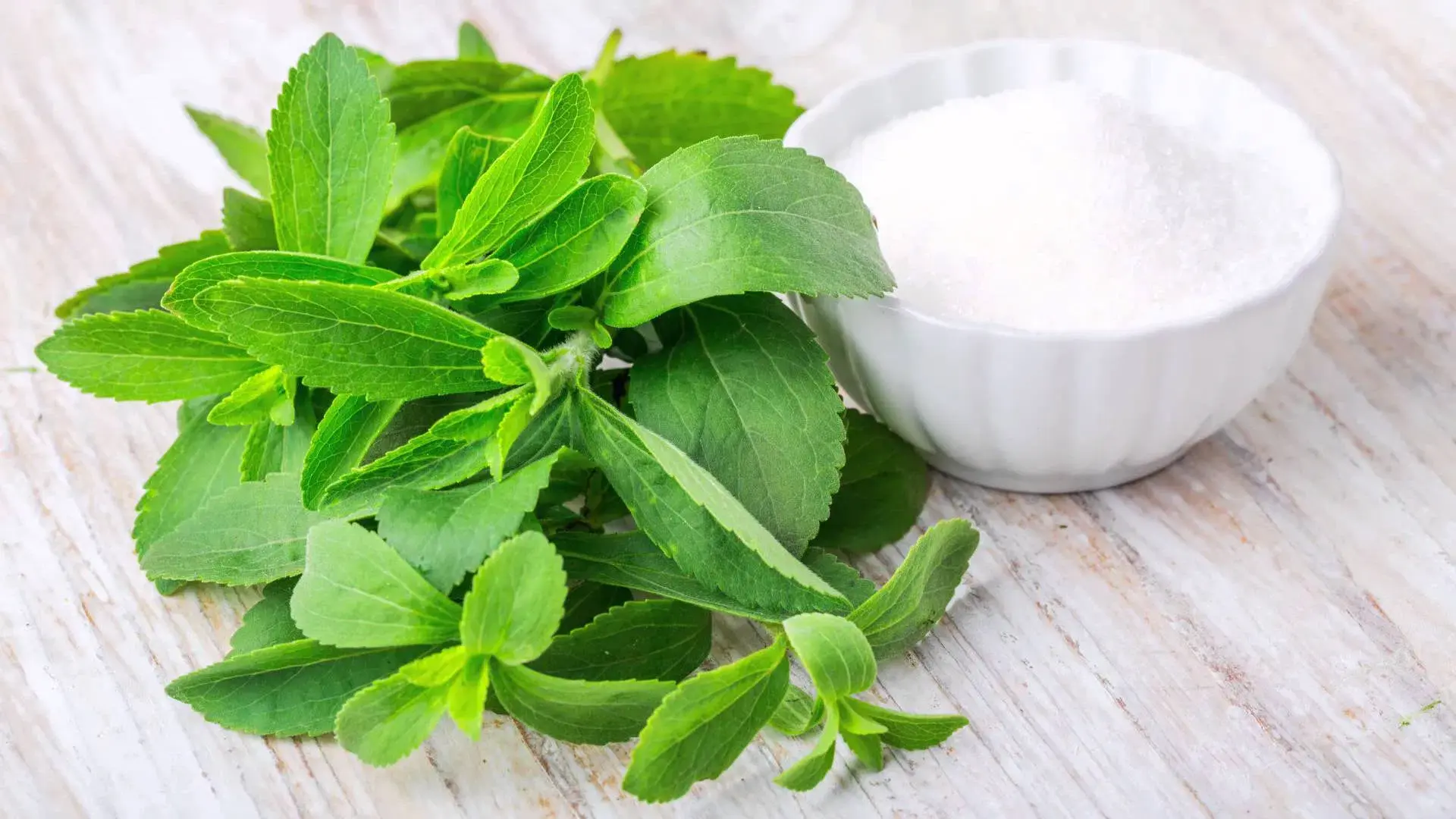 Product Description-Stevia Extract